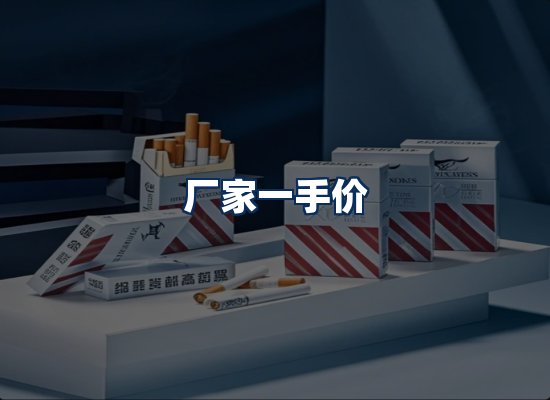 专业团队办公环境
